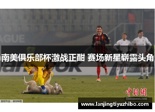 南美俱乐部杯激战正酣 赛场新星崭露头角